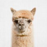 (Category: ) located in . Submitted by roamingalpaca (Listing ID 1383607791, Image 1). Description: .