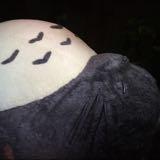 （分類：）位於 。 由 mimithelight 提交（商品編號 1384522894，圖片 1）。簡介： 。