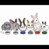 （分類：）位於 。 由 6happyrabbit 提交（商品編號 1376117434，圖片 1）。簡介： 。