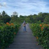 (Category: ) located in . Submitted by mealsb (Listing ID 1312505219, Image 1). Description: .