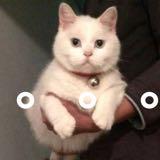 (Category: ) located in . Submitted by xcyyyy (Listing ID 1219999349, Image 1). Description: .