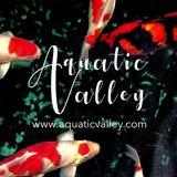 (Category: ) located in . Submitted by aquaticvalleysg (Listing ID 219465232, Image 1). Description: .