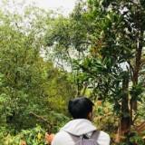 (Category: ) located in . Submitted by rahman0015 (Listing ID 1471344072, Image 1). Description: .