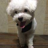 (Category: ) located in . Submitted by aata_ (Listing ID 1245132216, Image 1). Description: .