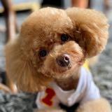 (Category: ) located in . Submitted by creativec2 (Listing ID 1260844359, Image 1). Description: .