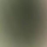 （分類：）位於 。 由 cwingchow 提交（商品編號 1382075792，圖片 1）。簡介： 。