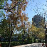 由 melissayuyu (刊登 ID 1324481766，圖片 1) 提交，位於 的 (類別：)，說明：。