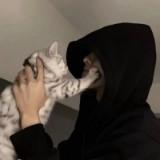 (Category: ) located in . Submitted by wyyyyyyyyyyyyy (Listing ID 1370142041, Image 1). Description: .