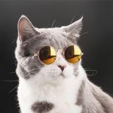 （分類：）位於 。 由 catsells8 提交（商品編號 1039825201，圖片 1）。簡介： 。