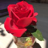 (Category: ) located in . Submitted by jassi (Listing ID 1385154246, Image 1). Description: .