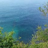 (Category: ) located in . Submitted by ssdc1 (Listing ID 1360305076, Image 1). Description: .