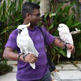 (Category: ) located in . Submitted by tthivakaran (Listing ID 1469052066, Image 1). Description: .