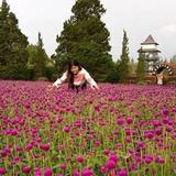 (Kategori: ) berada di . Dikirim oleh cherily (ID iklan 1375129161, Gambar 1). Deskripsi: .
