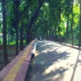 (Category: ) located in . Submitted by siddiq038 (Listing ID 1363883190, Image 1). Description: .