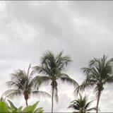 (Category: ) located in . Submitted by _ansh_ (Listing ID 1380347615, Image 1). Description: .