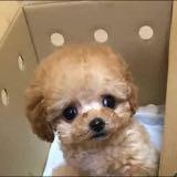 (Category: ) located in . Submitted by letsgeddit_20 (Listing ID 1382942770, Image 1). Description: .