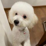 (Category: ) located in . Submitted by EmmaKC (Listing ID 1377218317, Image 1). Description: .