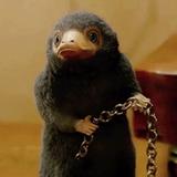 (Category: ) located in . Submitted by nifflerr (Listing ID 1371366259, Image 1). Description: .