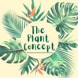 (Category: ) located in . Submitted by theplantconcept (Listing ID 1139476170, Image 1). Description: .