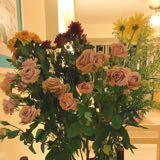 (Category: ) located in . Submitted by gksss (Listing ID 1384437638, Image 1). Description: .