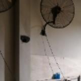 (Category: ) located in . Submitted by craphitsthefan (Listing ID 1198103286, Image 1). Description: .