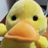(Category: ) located in . Submitted by shopgun (Listing ID 1351478902, Image 1). Description: .
