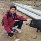 (Category: ) located in . Submitted by albert.g (Listing ID 1377082816, Image 1). Description: .