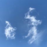 （分類：）位於 。 由 goodies0602 提交（商品編號 1351038173，圖片 1）。簡介： 。