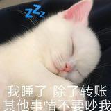 （分類：）位於 。 由 Smipoon 提交（商品編號 1370432129，圖片 1）。簡介： 。