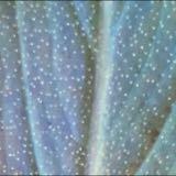 (Category: ) located in . Submitted by exotic_aquatics_ (Listing ID 1437663788, Image 1). Description: .