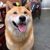 由 kathysong (刊登 ID 1379490709，圖片 1) 提交，位於 的 (類別：)，說明：。