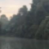 (Category: ) located in . Submitted by dealingdarryl (Listing ID 1364752708, Image 1). Description: .