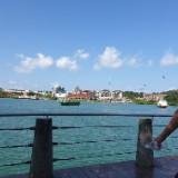 (Category: ) located in . Submitted by kumar2603 (Listing ID 1379707441, Image 1). Description: .