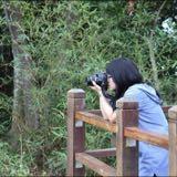 (Kategori: ) berada di . Dikirim oleh ropehope (ID iklan 1373862716, Gambar 1). Deskripsi: .