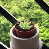 (Category: ) located in . Submitted by vianatasia (Listing ID 1328828692, Image 1). Description: .