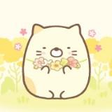 由 luna1268 (刊登 ID 1363669805，圖片 1) 提交，位於 的 (類別：)，說明：。