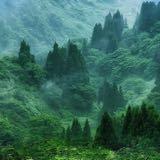 （分類：）位於 。 由 whitylam 提交（商品編號 1334425981，圖片 1）。簡介： 。