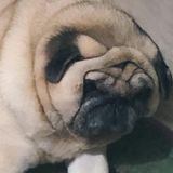 頭像