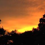 (Category: ) located in . Submitted by gksald (Listing ID 1283161655, Image 1). Description: .