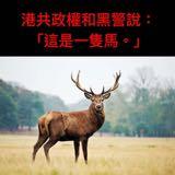 （分類：）位於 。 由 temgesic 提交（商品編號 1223888924，圖片 1）。簡介： 。