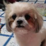 (Category: ) located in . Submitted by mishamigo (Listing ID 1316947393, Image 1). Description: .