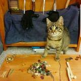 (Category: ) located in . Submitted by swordsandwares (Listing ID 1379368381, Image 1). Description: .
