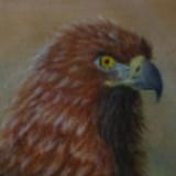 (Category: ) located in . Submitted by my_stuff_a (Listing ID 1373816455, Image 1). Description: .
