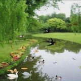 (分類:)位於 。 由 lan5228 提交(商品編號 1458734445,圖片 1)。簡介: 。