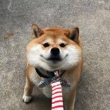 (Category: ) located in . Submitted by rachelneo (Listing ID 1376568800, Image 1). Description: .