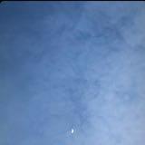 (Category: ) located in . Submitted by shopwus (Listing ID 1380273733, Image 1). Description: .