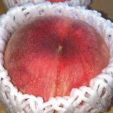 （分類：）位於 。 由 ddmommy 提交（商品編號 1380509674，圖片 1）。簡介： 。