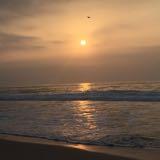 (Category: ) located in . Submitted by cornerbig (Listing ID 1380373347, Image 1). Description: .