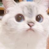 (Category: ) located in . Submitted by heehoobeeboo (Listing ID 1359019094, Image 1). Description: .