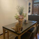 (Category: ) located in . Submitted by cereally (Listing ID 32645323, Image 1). Description: .
